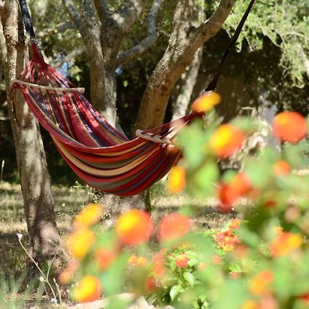 Finca Katia Капдепера Екстериор снимка
